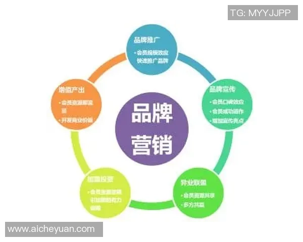 彩神Vll品牌传播策略全解析助力品牌价值提升与市场拓展