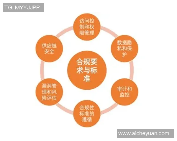 彩神Vll隐私合规新标准解读与实施策略探讨