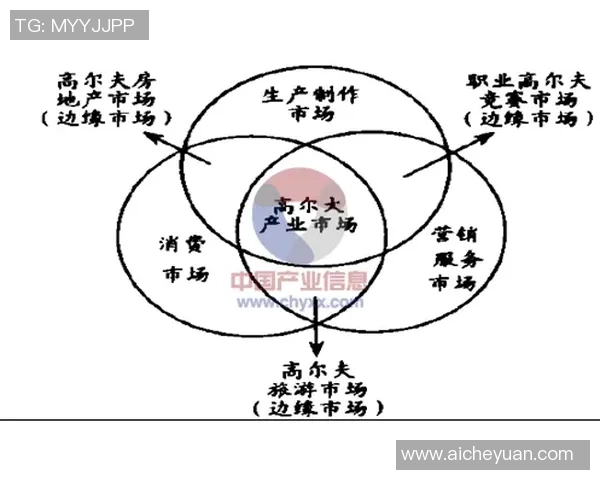 焦点娱乐产品战略规划与市场趋势分析及未来发展方向探讨