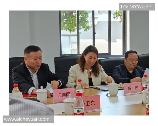 星空娱乐数据合规审计全面解析与优化建议探讨