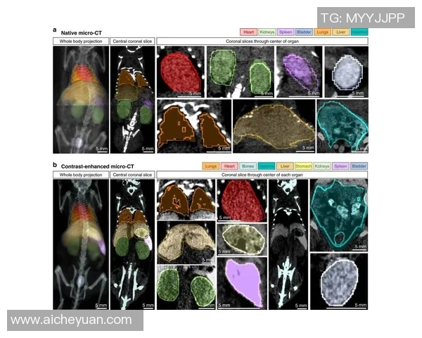 星空娱乐实时数据管道助力精准决策与智能分析的创新之路