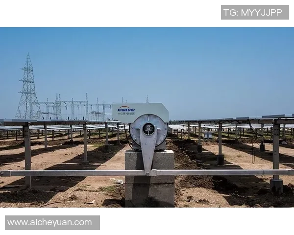 全球鹰嘴豆奶大赛盛大召开印度海德拉巴成为焦点城市